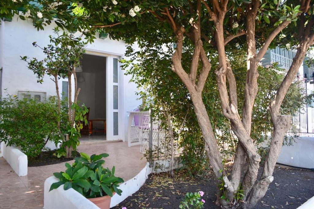 Playa Chica Apt With Terrace 100 M From The Sea Πουέρτο Ντελ Κάρμεν Εξωτερικό φωτογραφία